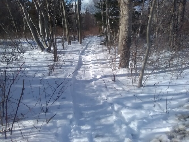 IMG_20190214_141215%5B1%5D