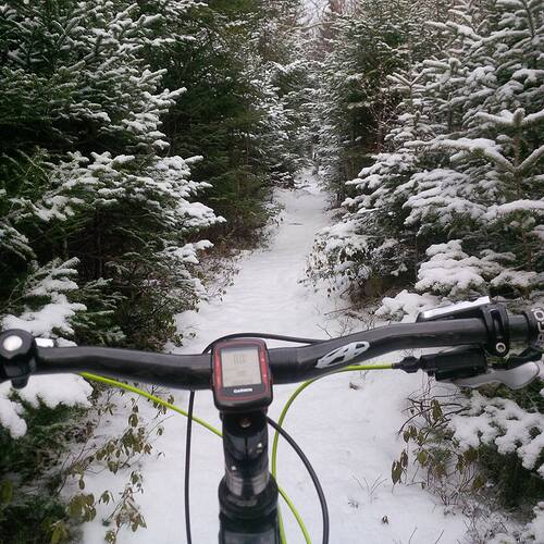 27858809_10156230193324047_7140341701251714455_n