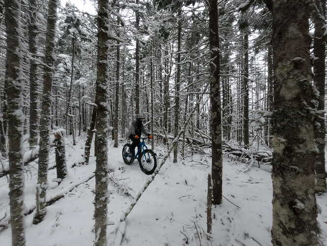 G1166501_1611420930507