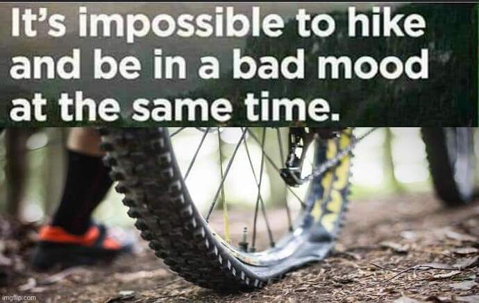 FB_IMG_1639618225882