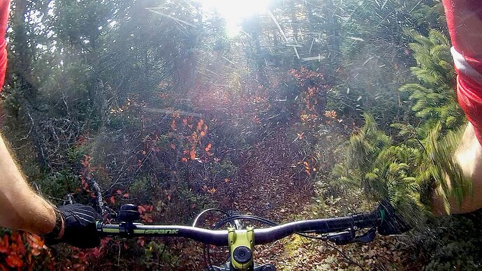 Screen-Shot-2022-10-23-01