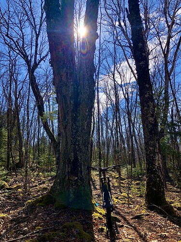 CE999CFB-DA2E-4E47-8F91-8B0FD212C86D_1_201_a