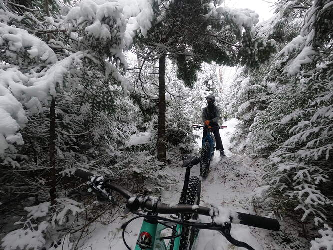 G1186585_1611421006123