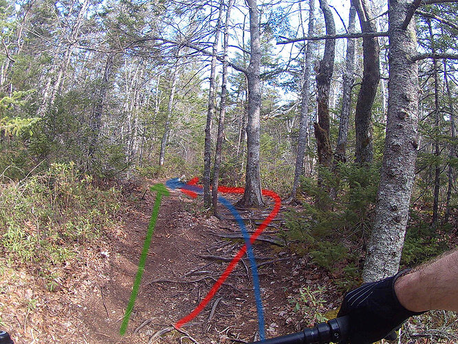 trail-braiding