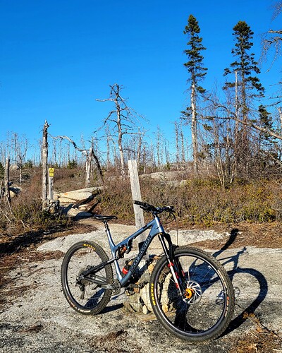 IMG_20220510_205657_387