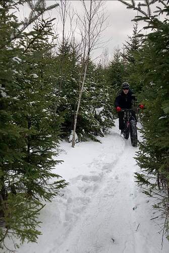 received_390019352087319