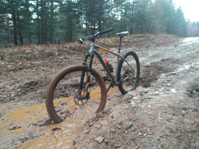 IMG_20180212_154034576