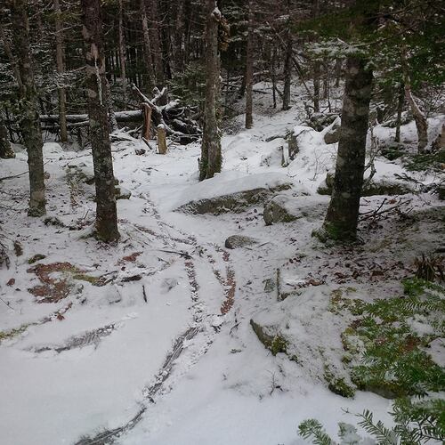 27973829_10156230672764047_4559478998189227225_n