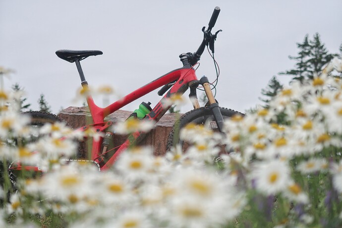 20210704074010_IMG_0454-01