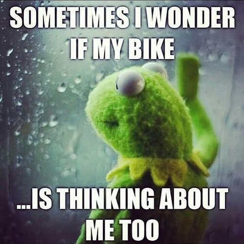 ThinkingAboutMyBike