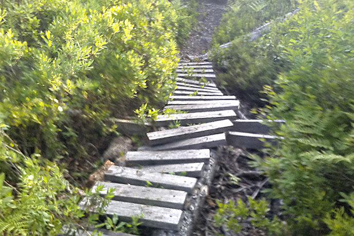 sss_bridge