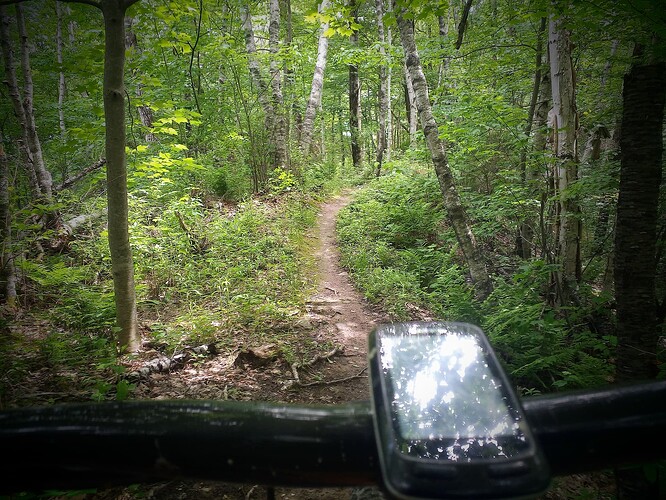 IMG_20220611_152235_629~2