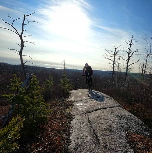 IMG_20201212_141847_754