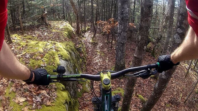 Screen-Shot-2022-10-23-03