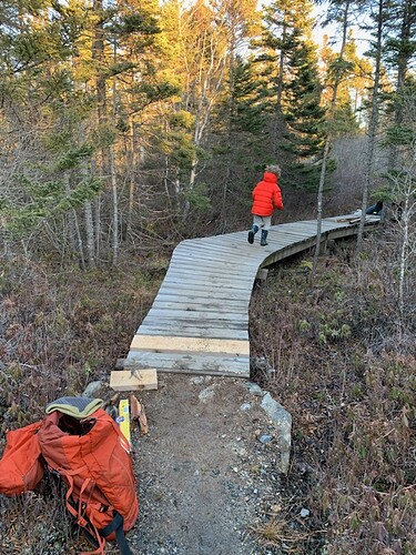 IMG_20230213_061820_01