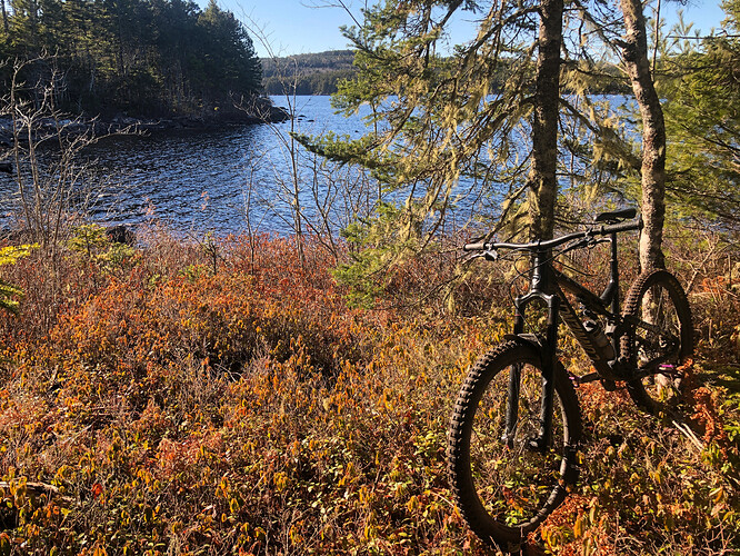 9A42B6F2-0E50-494E-A07B-E9C6B5176EB9