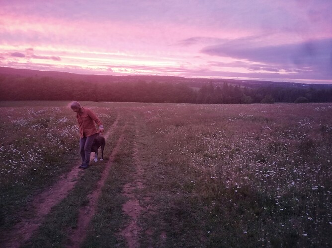 IMG_20210703_211922_607-01-01