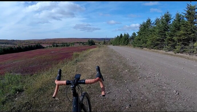 Screenshot_20251014-074118_Reddit