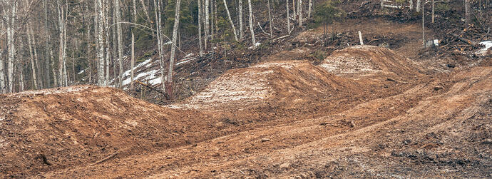 Yard Jumps Preview 1