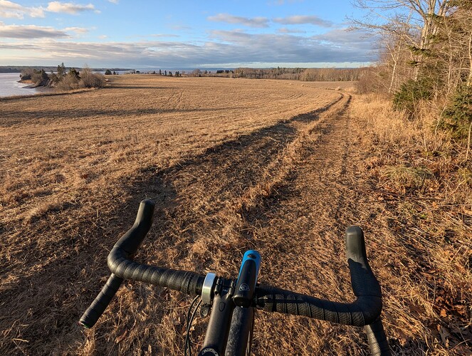 PXL_20241216_191856779