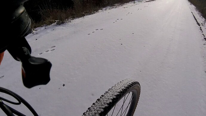 vlcsnap-2025-12-13-17h15m34s877