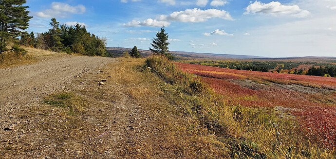 559232769_10163301453131368_398048641196903689_n