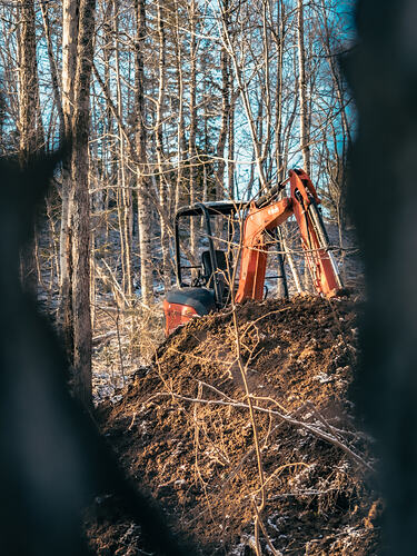 Coxheath 2025 Main Trail-2