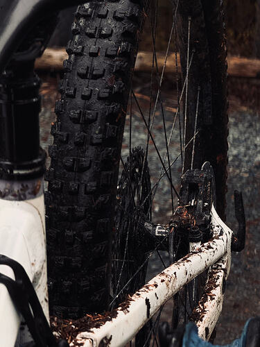 IMG_1190 Shakedown ride of the new wheelset & a little misadventure