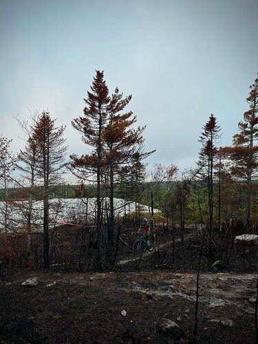 LAB Burnt Forest Tour 1