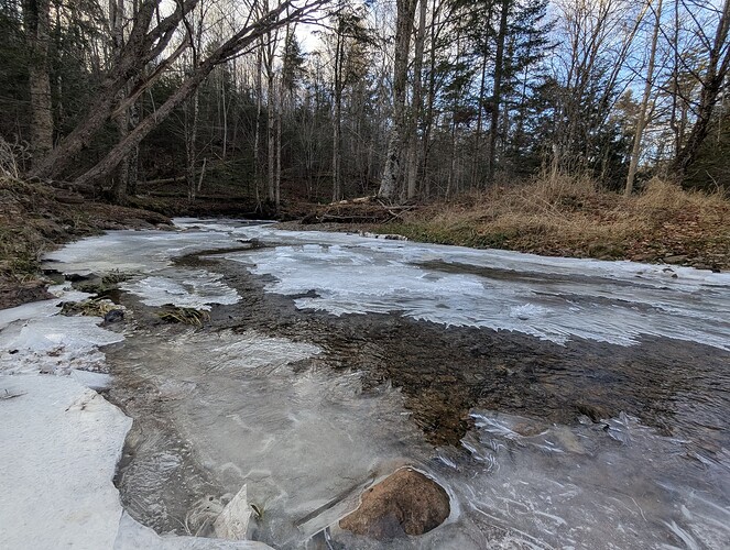 PXL_20241216_190024532