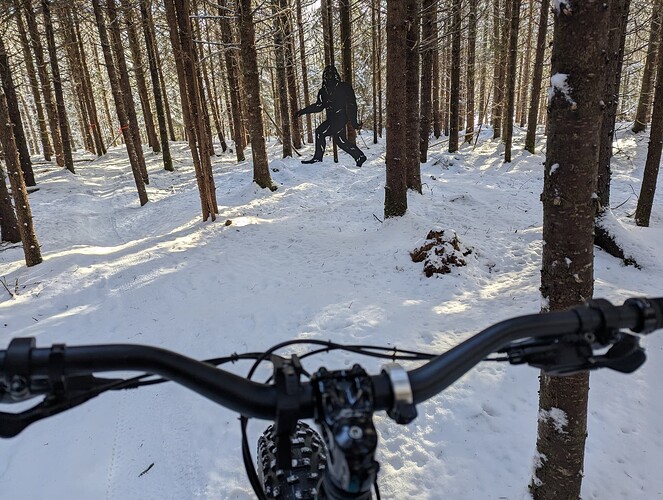 PXL_20260124_155339535