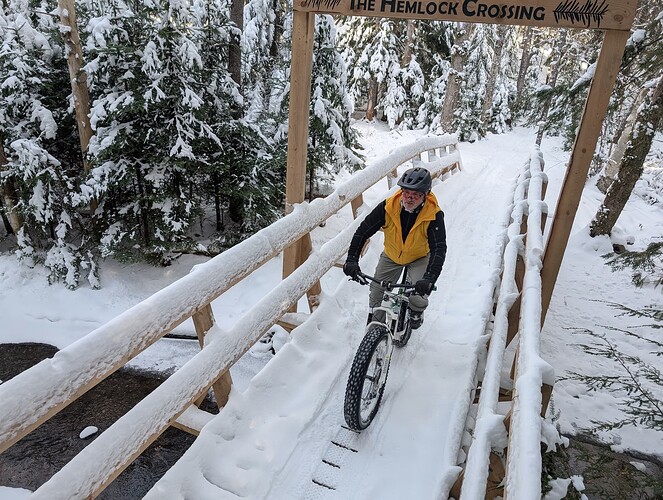 PXL_20241228_161218195