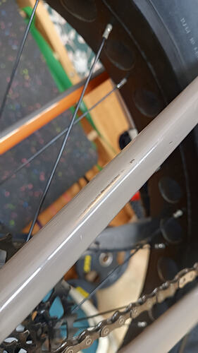 IMG_20260301_134147_222