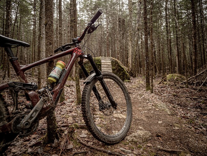 Joe Next Lever A8-4070735