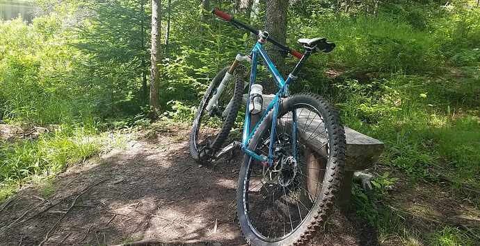 received_1199857701410561