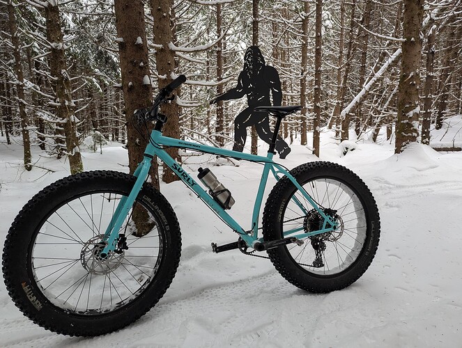 PXL_20241226_153135676