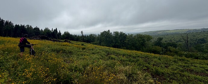 IMG_9749