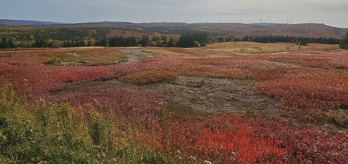 561755103_10163301454886368_3889683011310298717_n