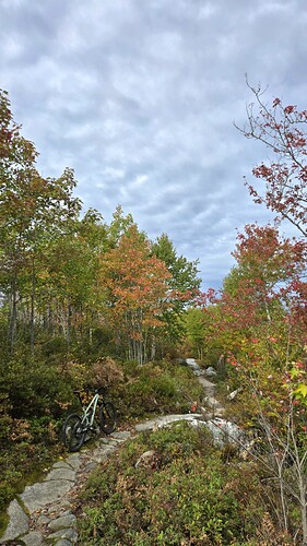 20261011_110317(0)