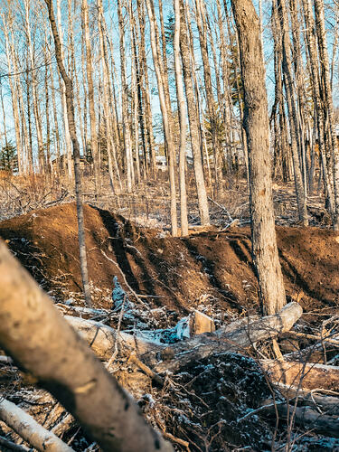 Coxheath 2025 Main Trail-3