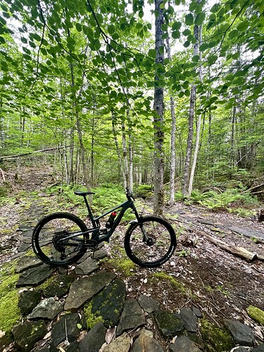 IMG_1507