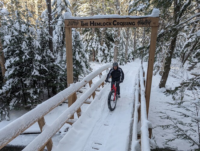 PXL_20241228_161210295