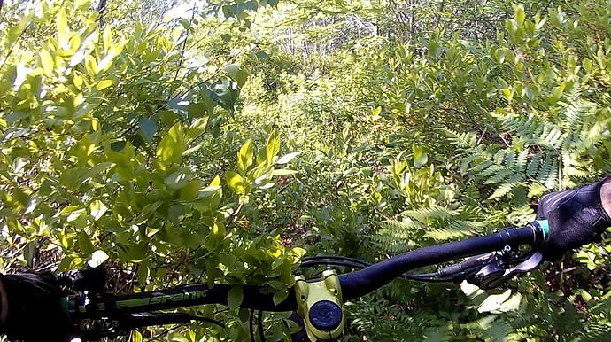 Screenshot-2025-06-16-at-08.24.32