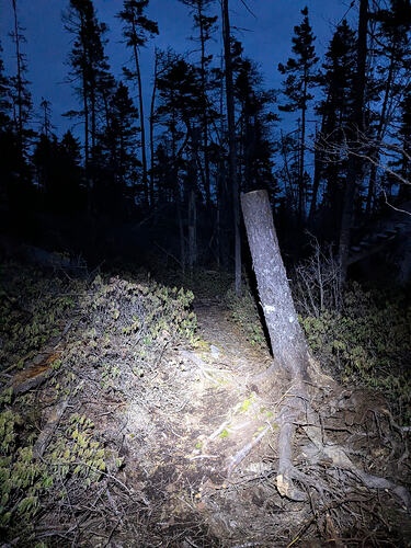 PXL_20260509_235443219