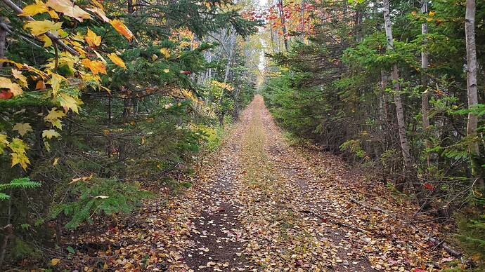 561407091_10163301454741368_8322482332628276952_n