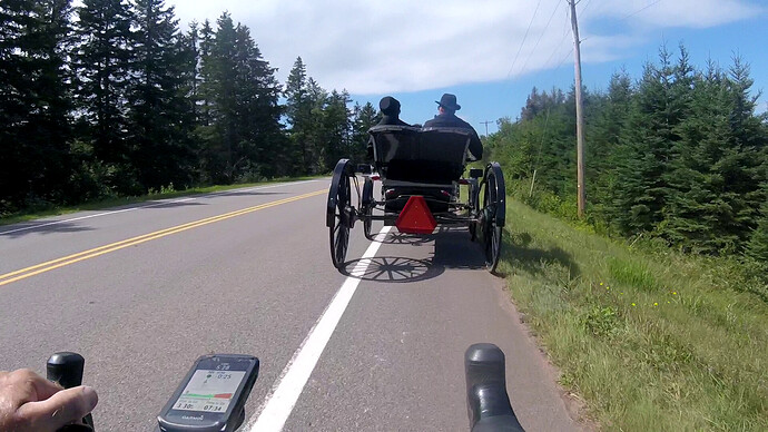 amish