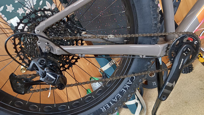 IMG_20260301_133756_377