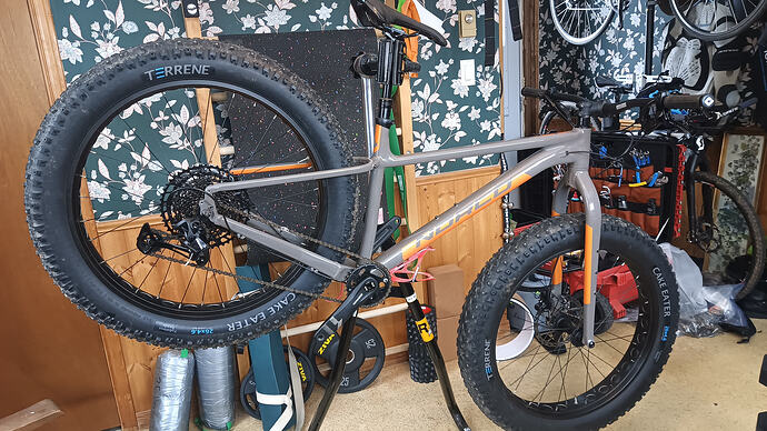 IMG_20260301_133745_391