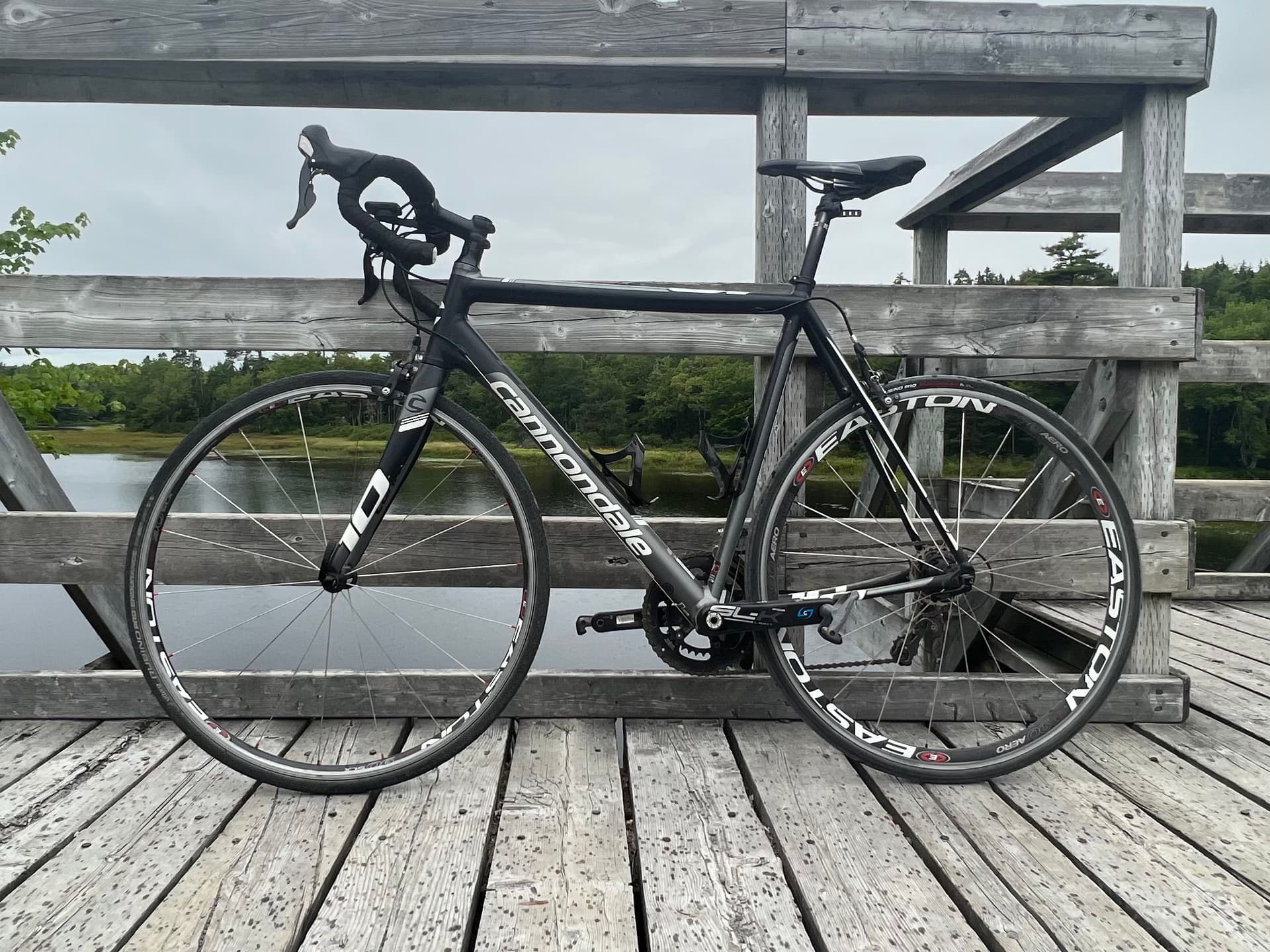 CannondaleCAD10